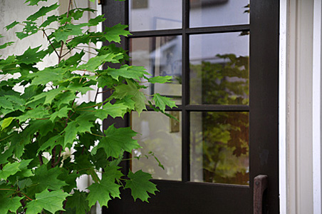 �H�[���i6�̉摜